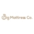 Big Mattress Co