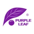 Purple Leaf