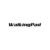 WalkingPad